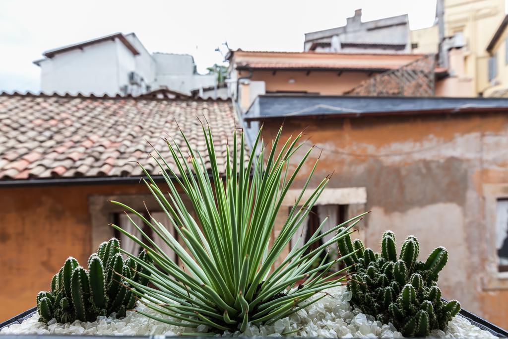Colosseo Luxury Apartment Rom